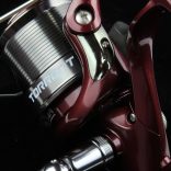 Nevis Torrent XT 6000