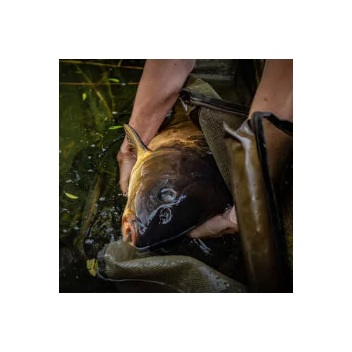 Korum Compact Recovery Sling - Mérlegelő