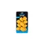 Nash Floating Maize